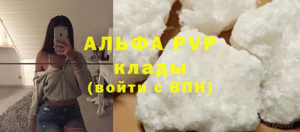 стаф Алзамай