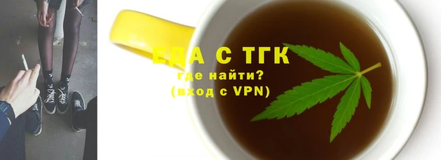 стаф Алзамай